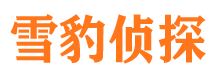 精河寻人公司